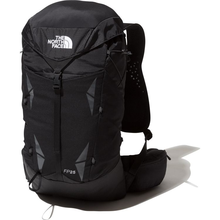 the north face co
