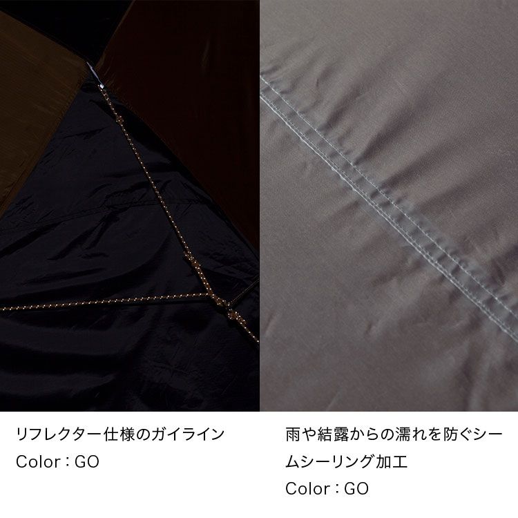 the north face northstar 6 tent