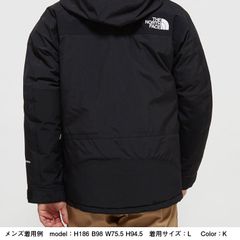 マウンテンダウンジャケット メンズ Nd The North Face公式通販