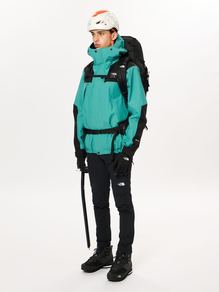 THE NORTH FACE マウンテンジャケット Lサイズ