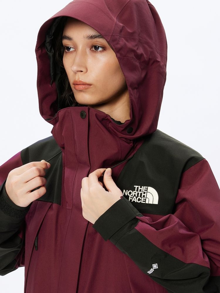 THE NORTH FACE MOUNTAIN JACKET 61800-