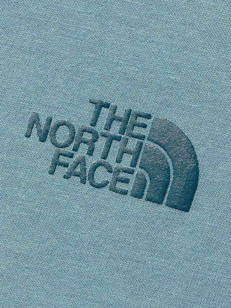 THE NORTH FACE(ザ・ノース・フェイス) ｜ショートスリーブプロスペクターワングレインティー（メンズ）