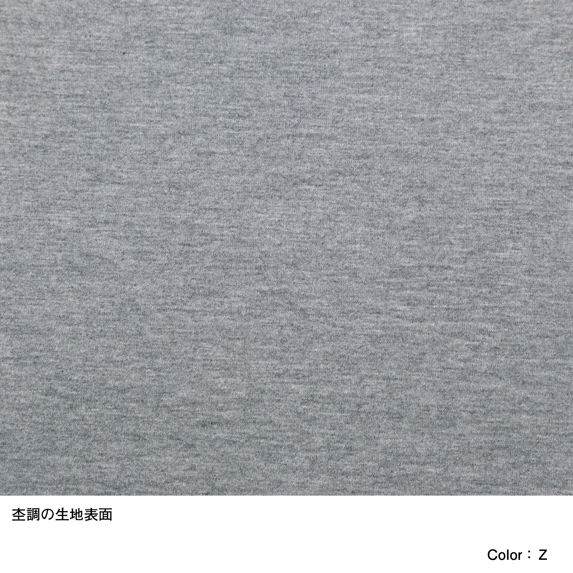 ショートスリーブワンピースクルー レディース Ntw The North Face公式通販