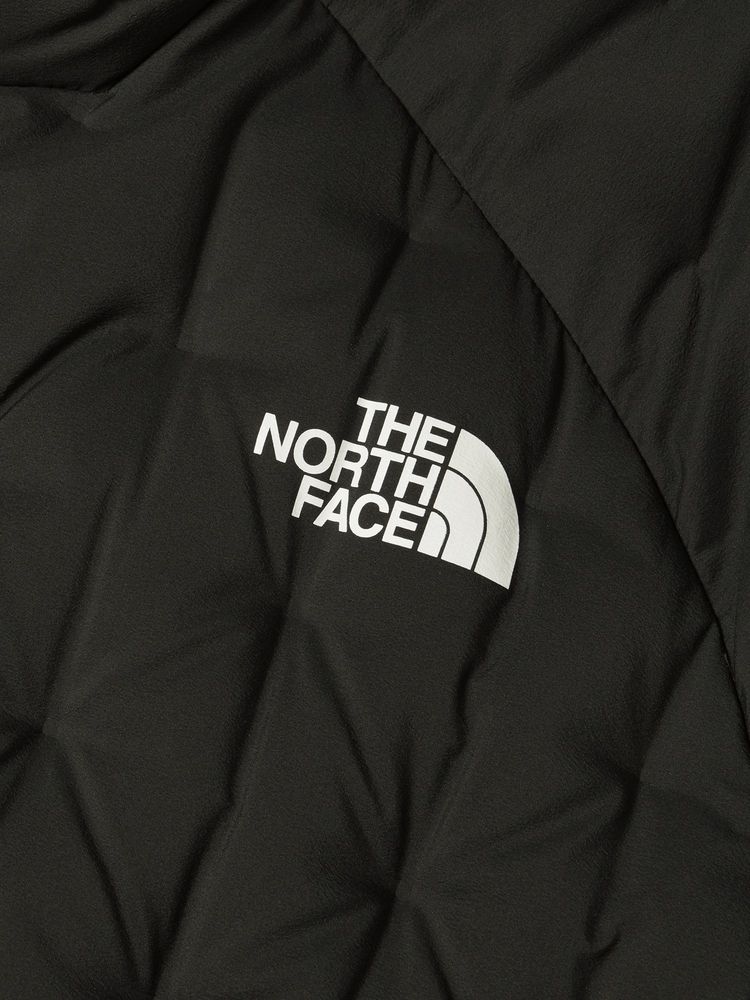 THE NORTH FACE(ザ・ノース・フェイス) ｜アストロライトフーディ（メンズ）