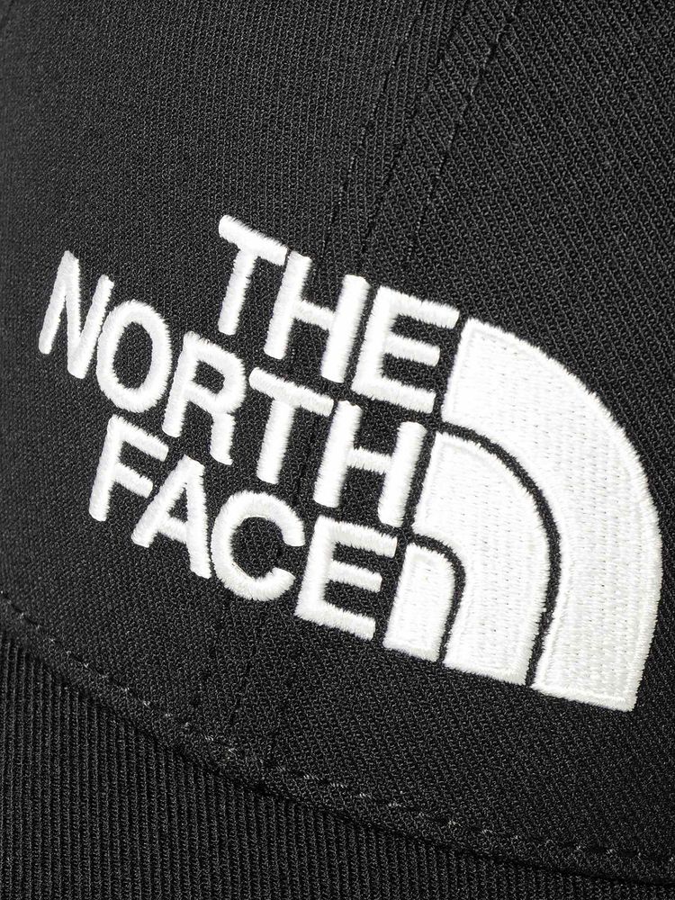 THE NORTH FACE ノースフェイス TNFロゴキャップ ニュートープ