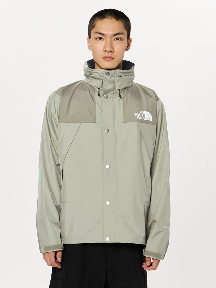 使用回数も10回程度ですTHE NORTH FACE マウンテンレインテックス GORE-TEX