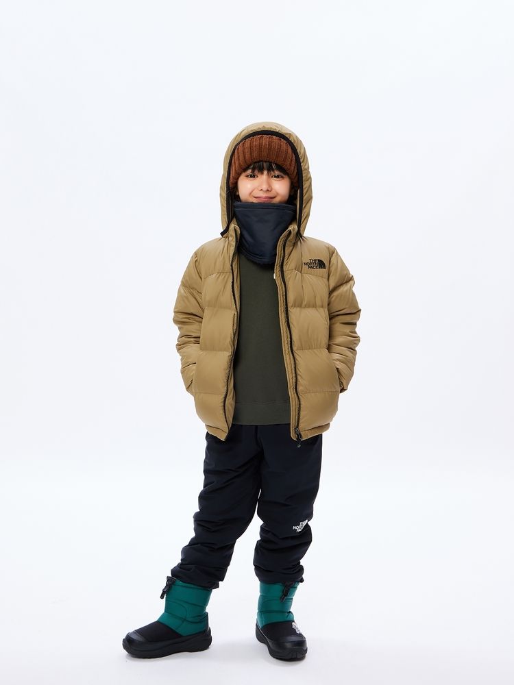 nm-1293.THE NORTH FACE アコンカグアフーディ