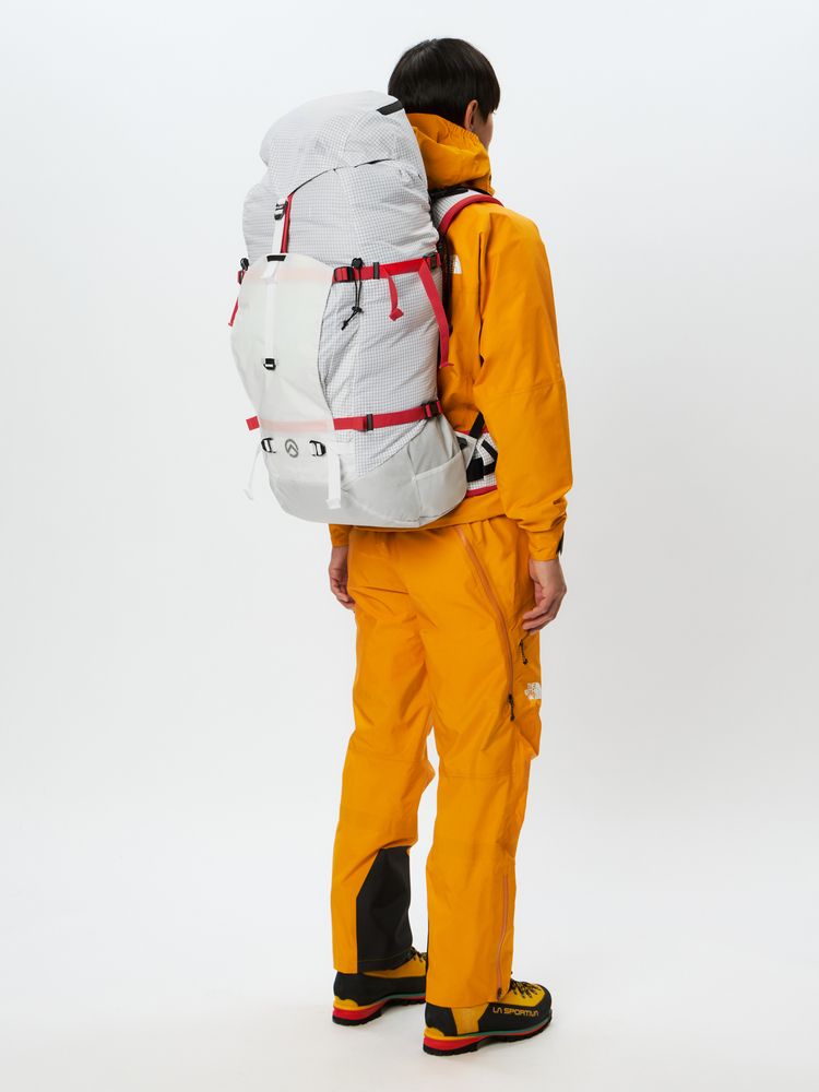 THE NORTH FACE(ザ・ノース・フェイス) ｜コブラ65