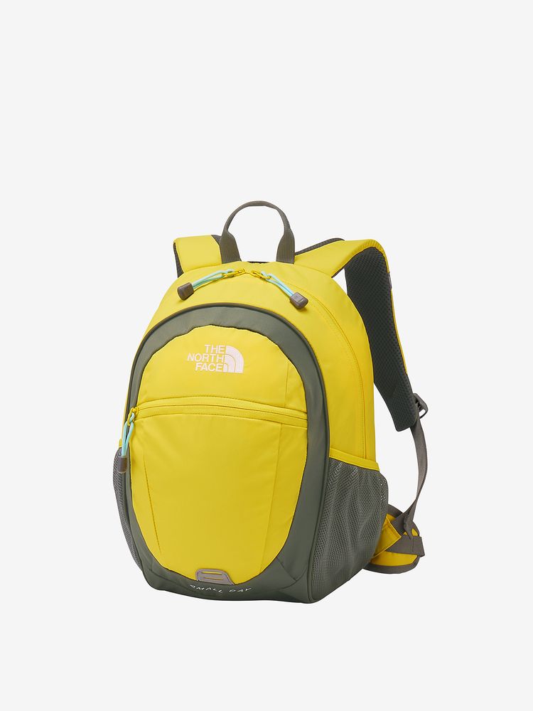 ザノースフェイス　キッズリュック スモールデイ 新品 THE NORTH FACE（ザ ノースフェイス） リュック THE NORTH FACE