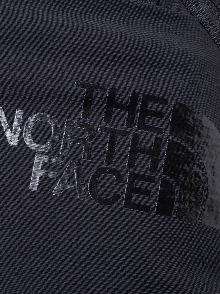 THE NORTH FACE(ザ・ノース・フェイス) ｜ネバーストップデイパック（レディース）
