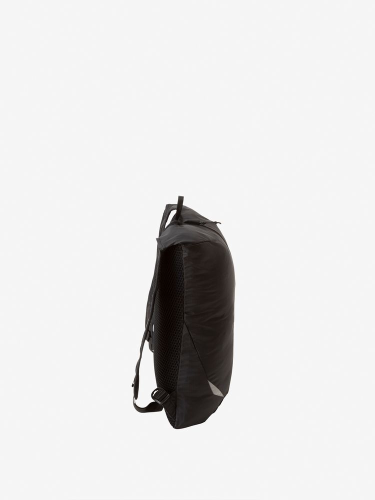 North face peckham online backpack review