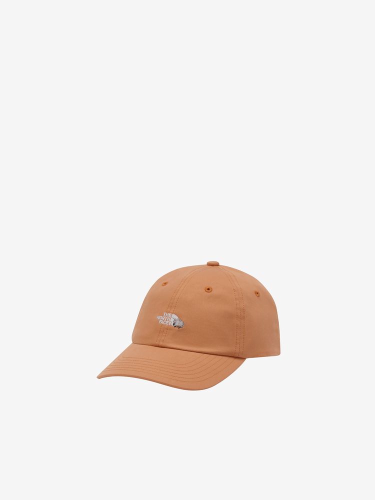 THE NORTH FACE(ザ・ノース・フェイス) ｜スモールロゴキャップ（キッズ）