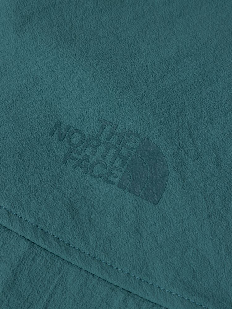 ノースフェイス THE NORTH FACE ハイカーズシャツ(メンズ)長袖 NR12401-F