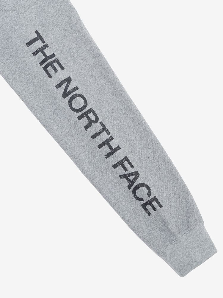 THE NORTH FACE(ザ・ノース・フェイス) ｜ロングスリーブスリーブグラフィックティー（メンズ）