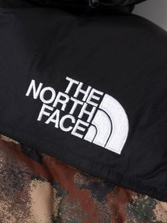 ノベルティーヌプシベスト（メンズ）（ND92339R）- THE NORTH FACE公式通販