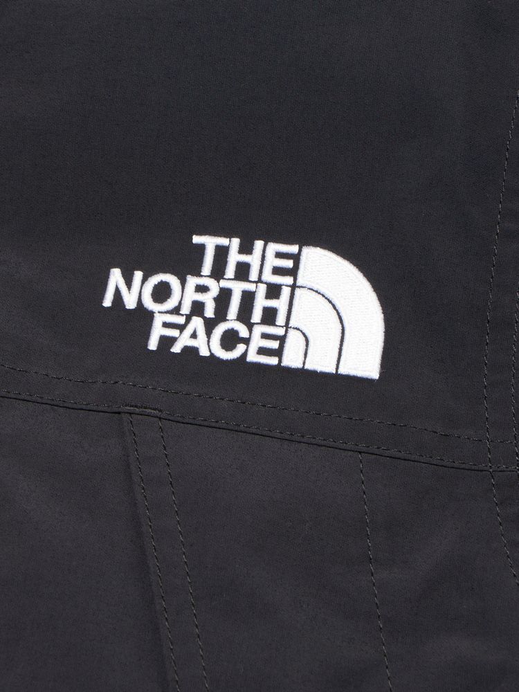 THE NORTH FACE(ザ・ノース・フェイス) ｜マウンテンダウンコート（レディース）