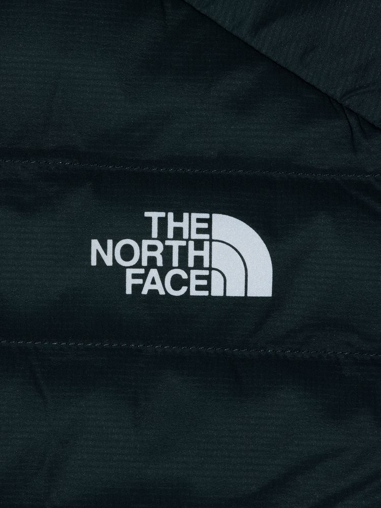 THE NORTH FACE(ザ・ノース・フェイス) ｜レッドランフーディ（メンズ）