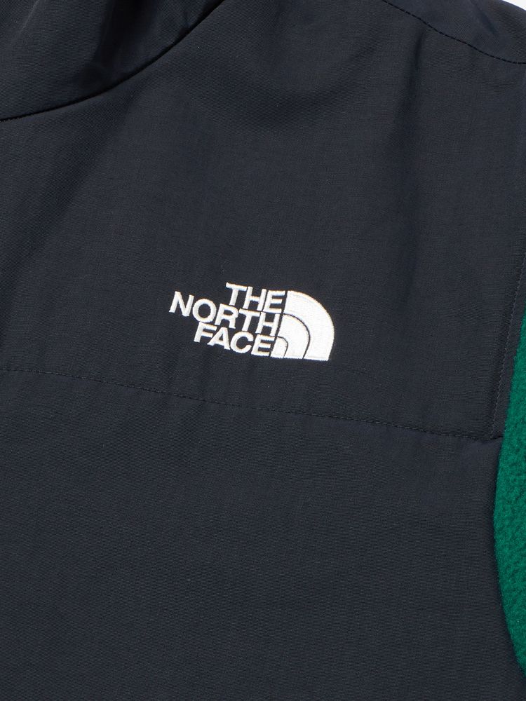 THE NORTH FACE(ザ・ノース・フェイス) ｜デナリフーディ（メンズ）