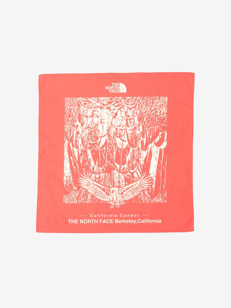 THE NORTH FACE(ザ・ノース・フェイス) ｜カリフォルニアコンドルバンダナ