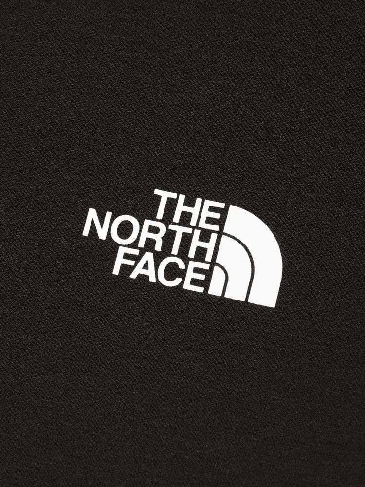 THE NORTH FACE(ザ・ノース・フェイス) ｜ロングスリーブ イーエスビッグロゴティー（メンズ）