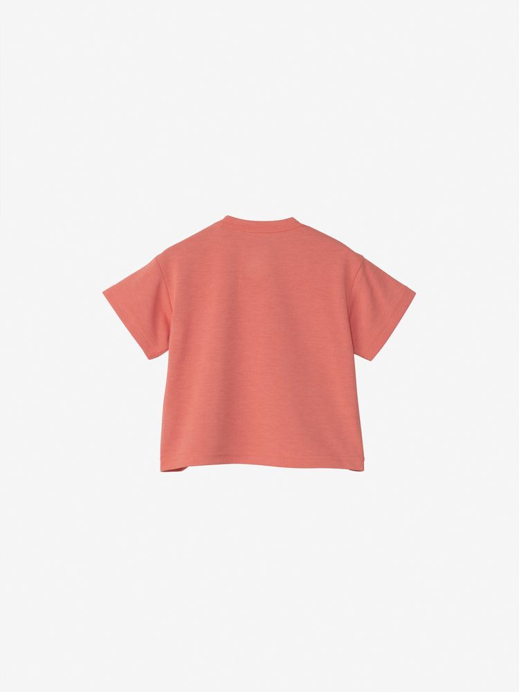 [ノースフェイス]★FIELD 長袖タートルネックTシャツ 男女共用★ THE NORTH FACE ノースフェイス スポーツウェア FIELD L/S