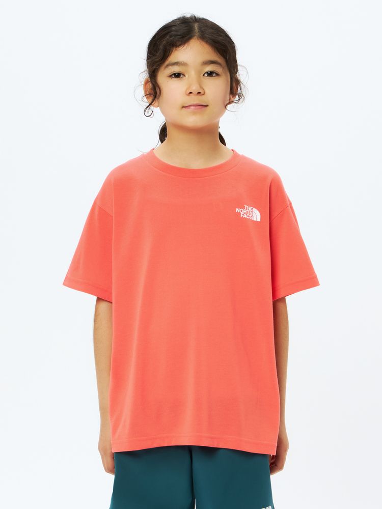 最終お値下げノースキッズ ビッグルートTシャツ＆カモフラパンツ120㎝セット 楽天市場】the north face big root teeの通販