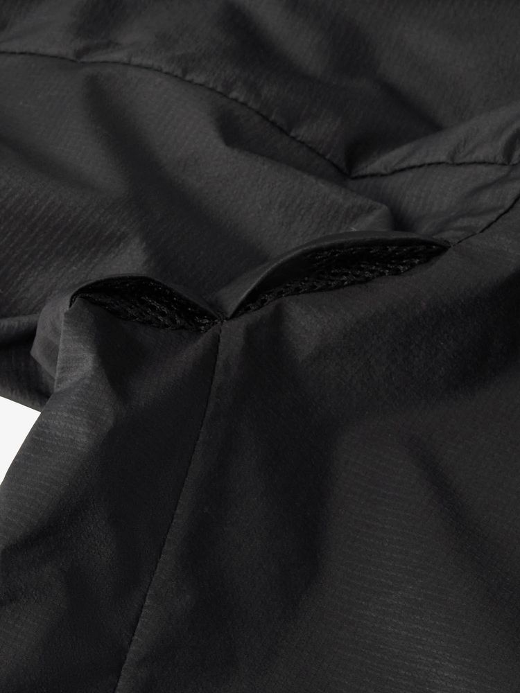 公式】スワローテイルベントフーディ（メンズ）｜ザ・ノース