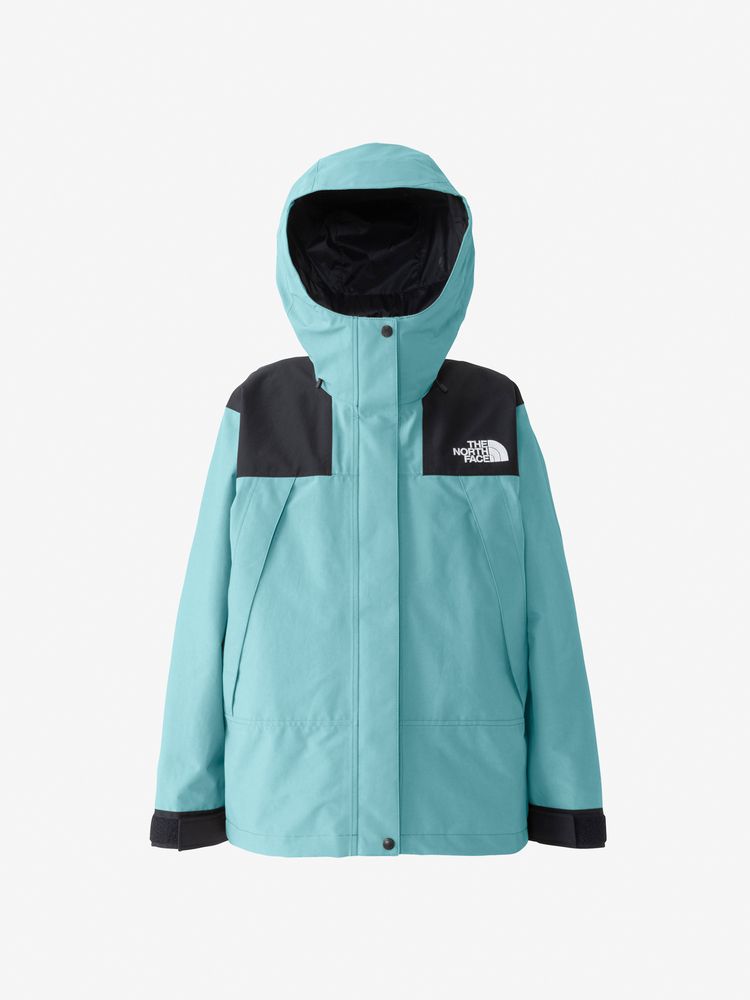 ノースフェイス ゴアテックス スキーウェア レディースM マウンテンジャケット THE NORTH FACE ザ・ノース・フェイス マウンテンジャケット