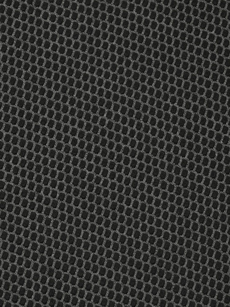 THE NORTH FACE(ザ・ノース・フェイス) ｜ロングスリーブ QD ミッドジップアップ（メンズ）