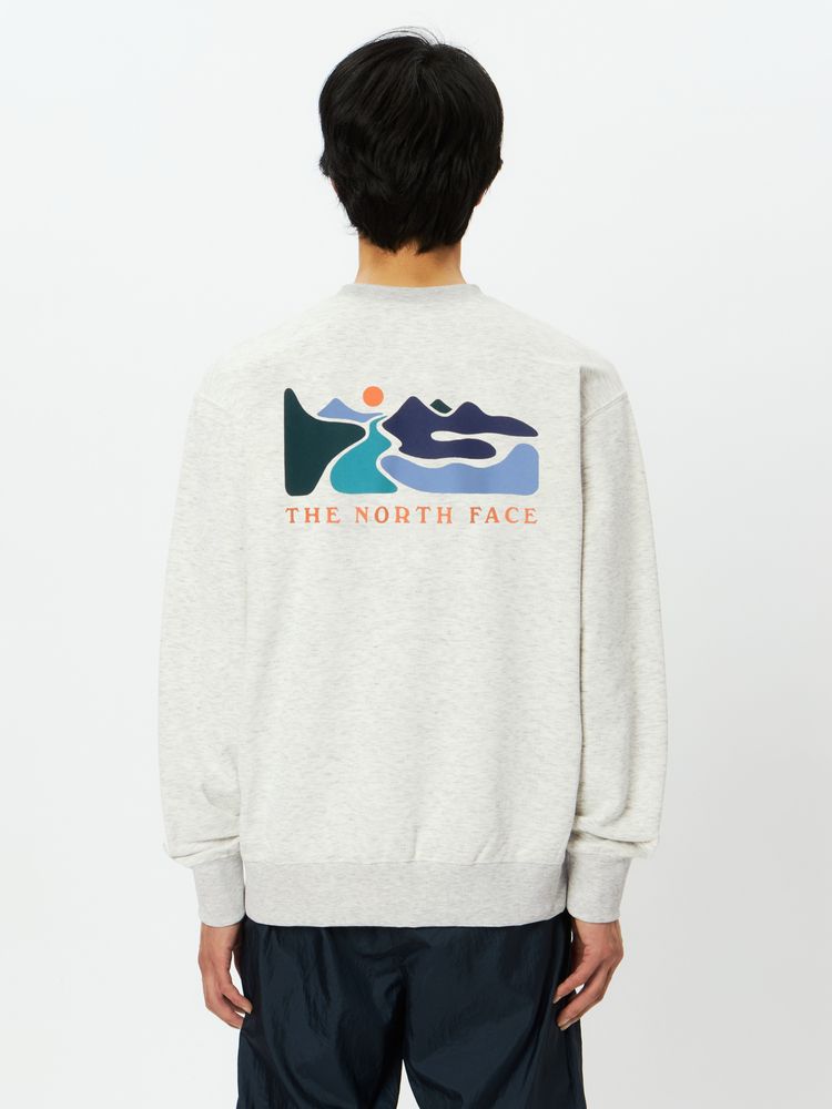 THE NORTH FACE Graphic Sweat Crew Lサイズ THE NORTH FACE スウェット グラフィックスウェットクルー ザ