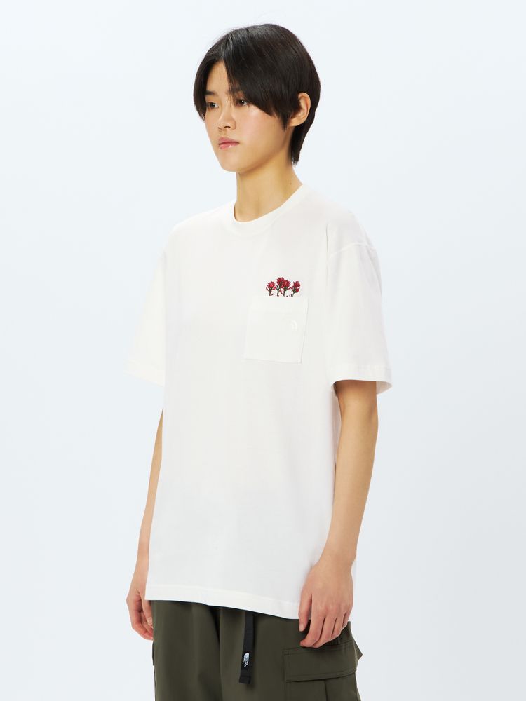 タナーティーのショートタイプ 楽天市場】タナーティー ショートの通販