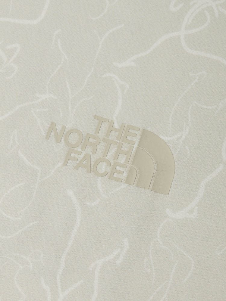 THE NORTH FACE(ザ・ノース・フェイス) ｜ショートスリーブラインドランナーティー（メンズ）