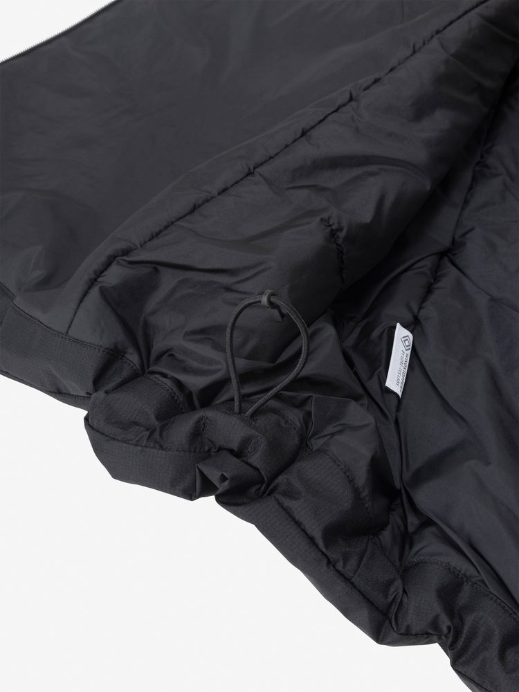 THE NORTH FACE(ザ・ノース・フェイス) ｜GTX アクションインサレーテッドベスト（ユニセックス）