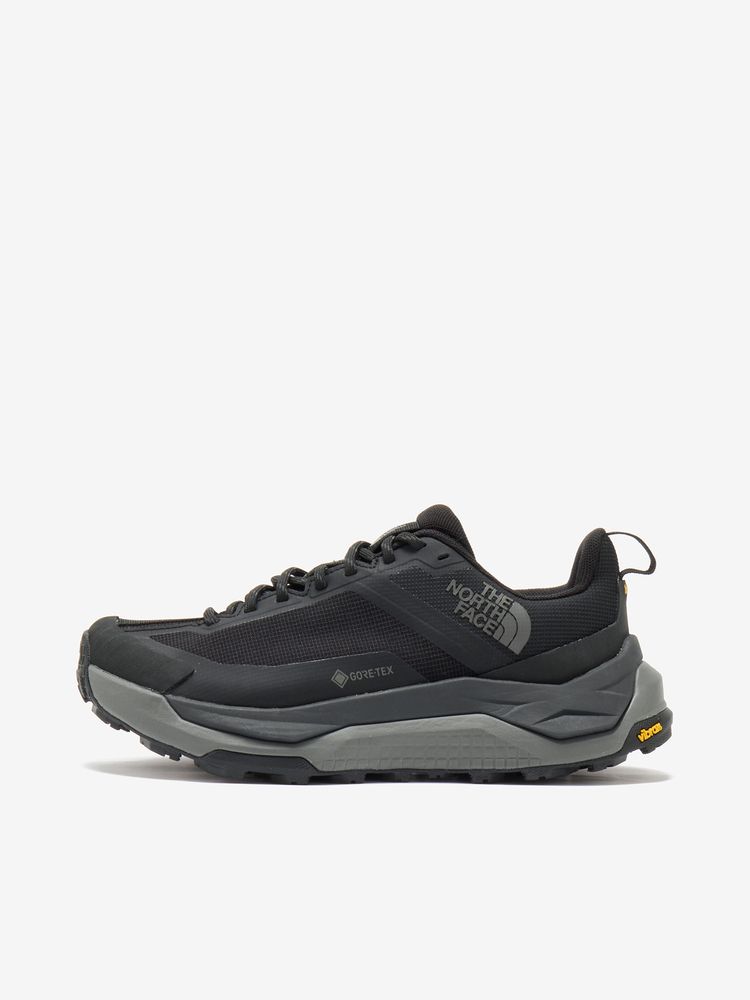 THE NORTH FACE(ザ・ノース・フェイス) ｜ファストパック ウルトラ ゴアテックス（レディース）