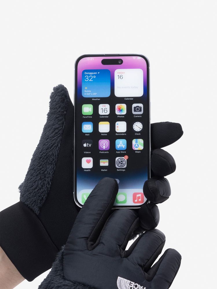 公式】デナリイーチップグローブ（ユニセックス）｜ザ・ノース