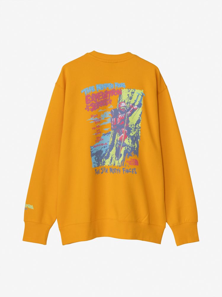 THE NORTH FACE(ザ・ノース・フェイス) ｜エクスペディショングラフィッククルー（ユニセックス）