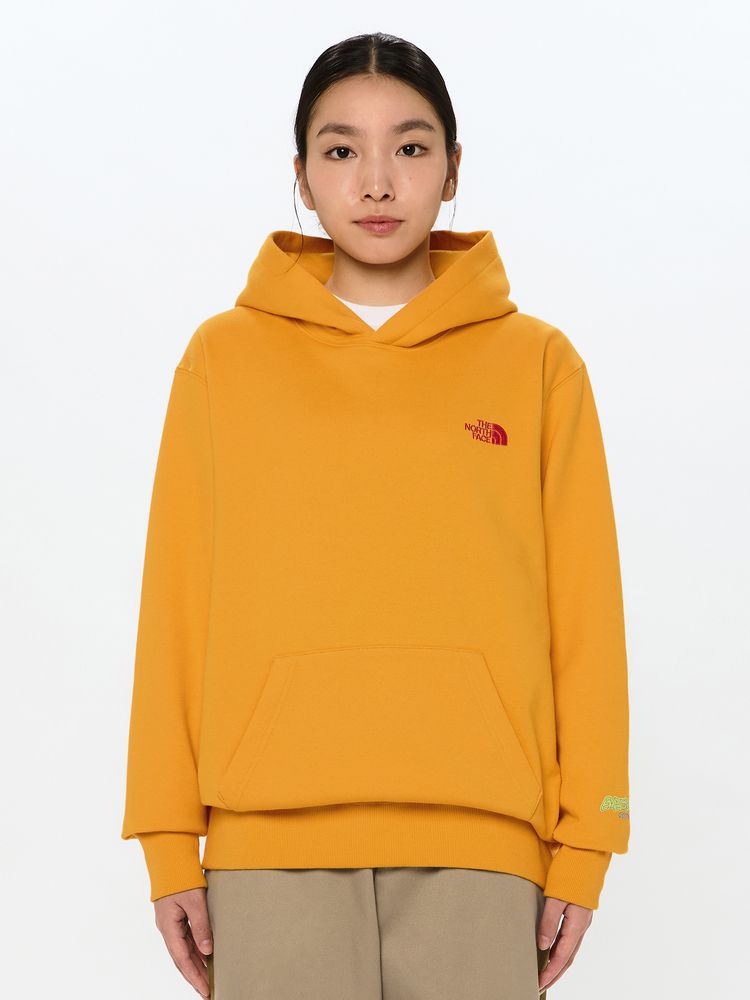 THE NORTH FACE(ザ・ノース・フェイス) ｜エクスペディショングラフィックフーディ（ユニセックス）