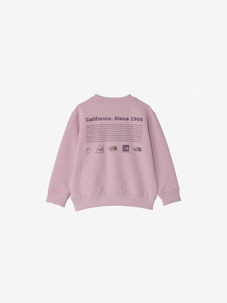 公式・限定】トドラーヒストリカルロゴスウェットクルー（キッズ）｜ザ