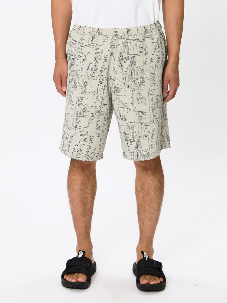 THE NORTH FACE(ザ・ノース・フェイス) ｜アロハリップショーツ（ユニセックス）