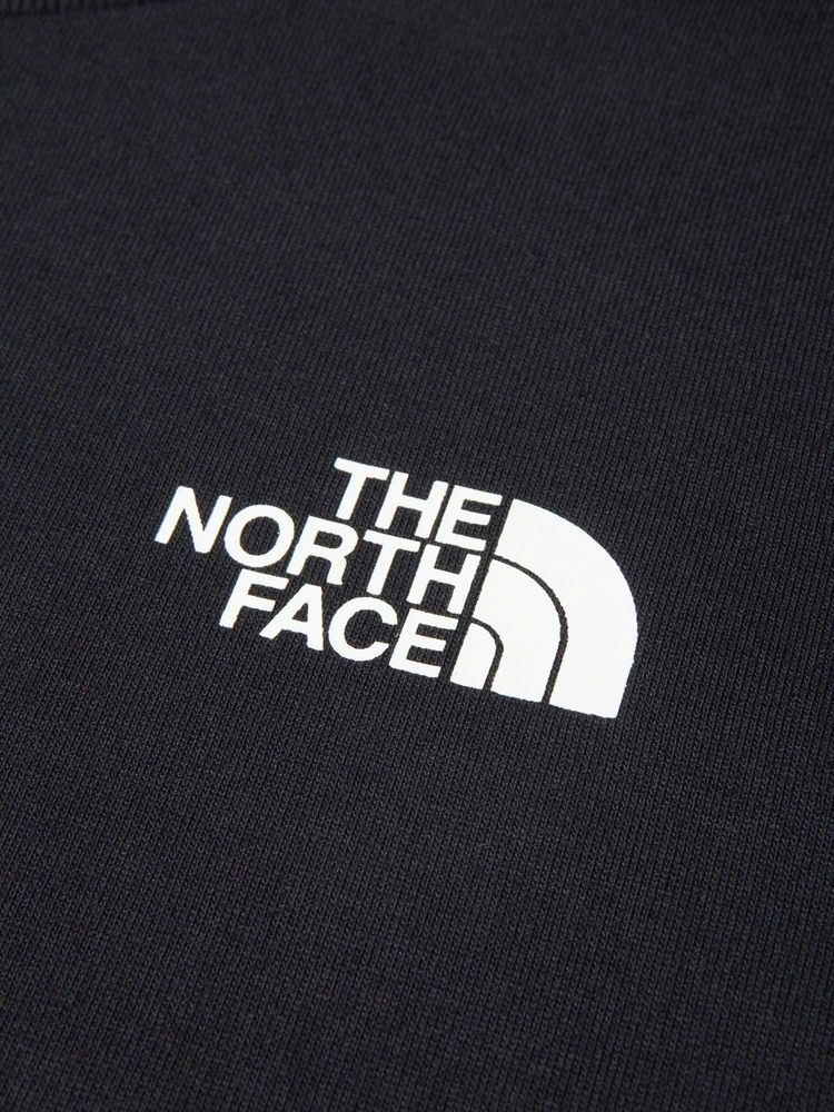THE NORTH FACE(ザ・ノース・フェイス) ｜ロングスリーブ ES レトロトレイルティー（メンズ）
