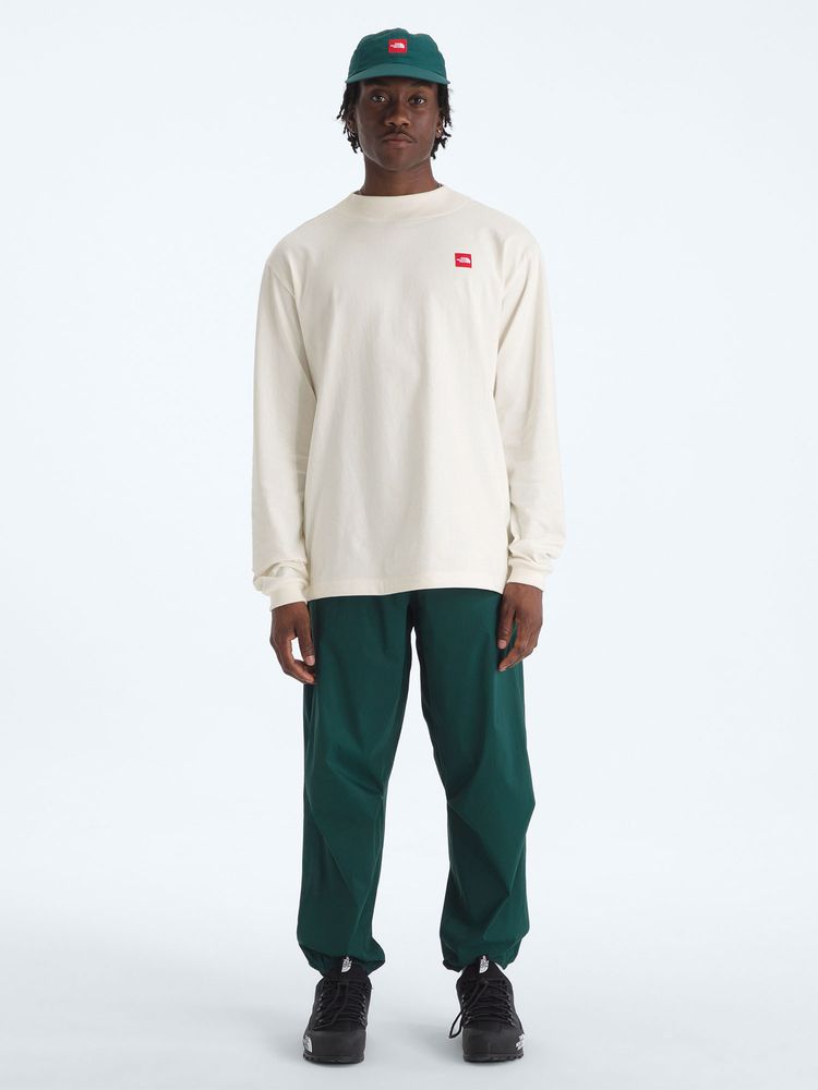 関送込*THE NORTH FACE*レッドボックスロゴーバーサイズシャツ 公式・限定】レッドボックスロングスリーブティー（ユニセックス