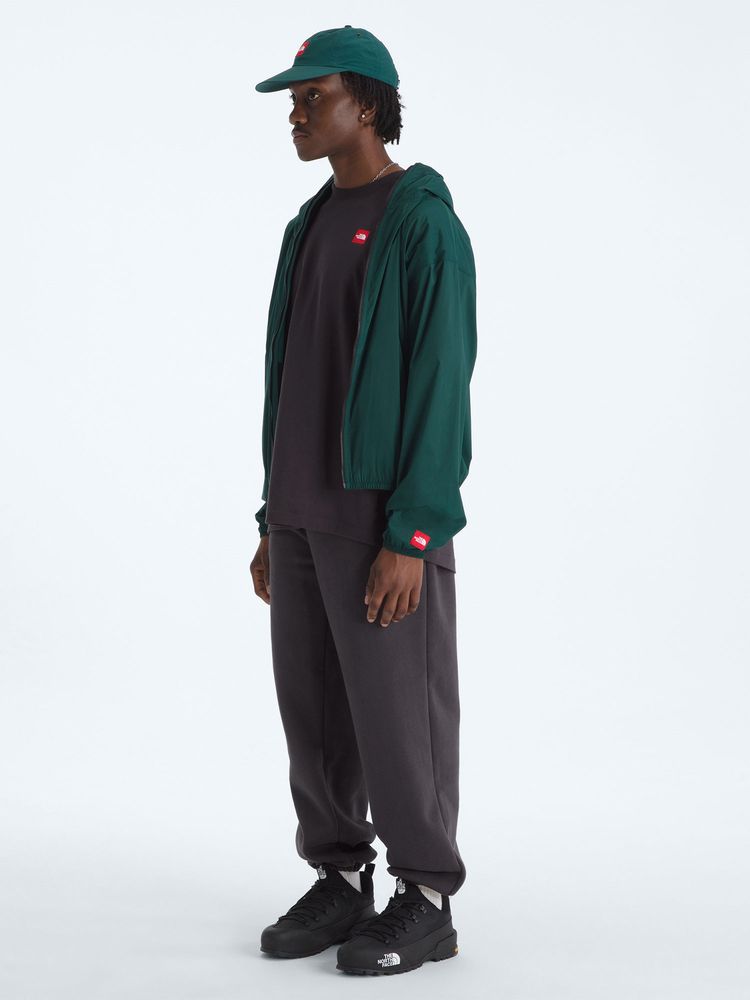 THE NORTH FACE(ザ・ノース・フェイス) ｜レッドボックスショートスリーブティー（ユニセックス）