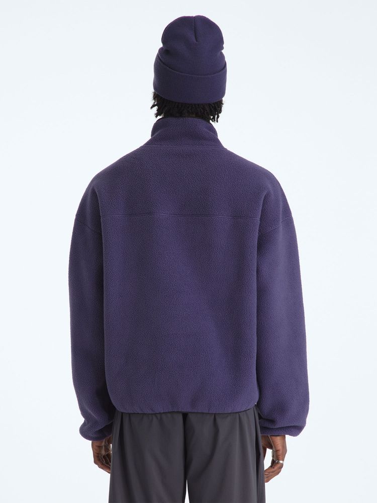 THE NORTH FACE(ザ・ノース・フェイス) ｜レッドボックス 1/2ジップフリース（ユニセックス）