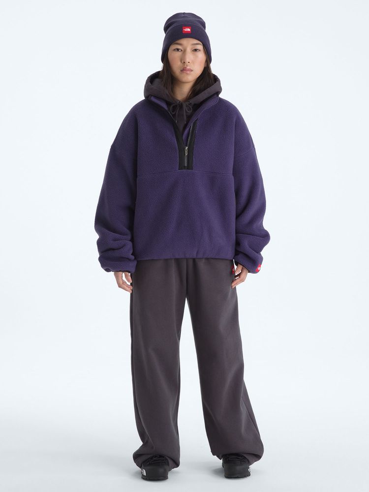 THE NORTH FACE(ザ・ノース・フェイス) ｜レッドボックス 1/2ジップフリース（ユニセックス）