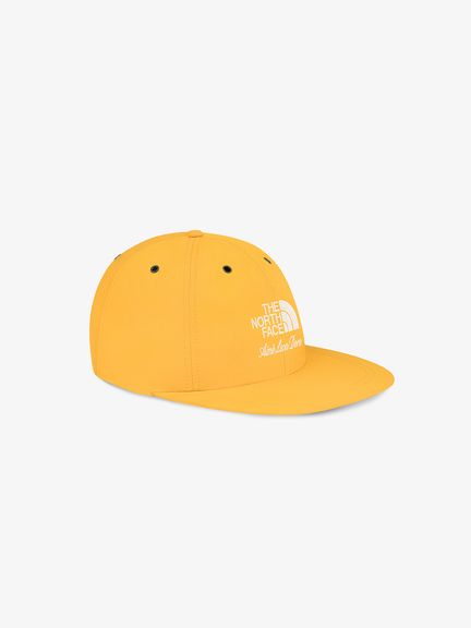 ザノースフェイス　140　ダウンジャケット　キャップ 楽天市場】【SALE】THE NORTH FACE ザ・ノース・フェイス