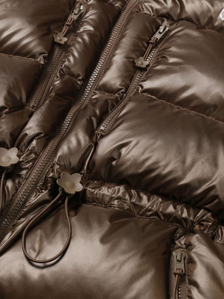 THE NORTH FACE(ザ・ノース・フェイス) ｜セシリーバンセン 2008 ヒマラヤンジャケット（レディース）