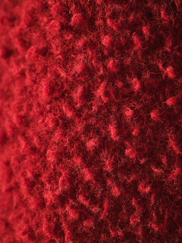 THE NORTH FACE(ザ・ノース・フェイス) ｜1995 カセンティーノウール デナリジャケット（ユニセックス）