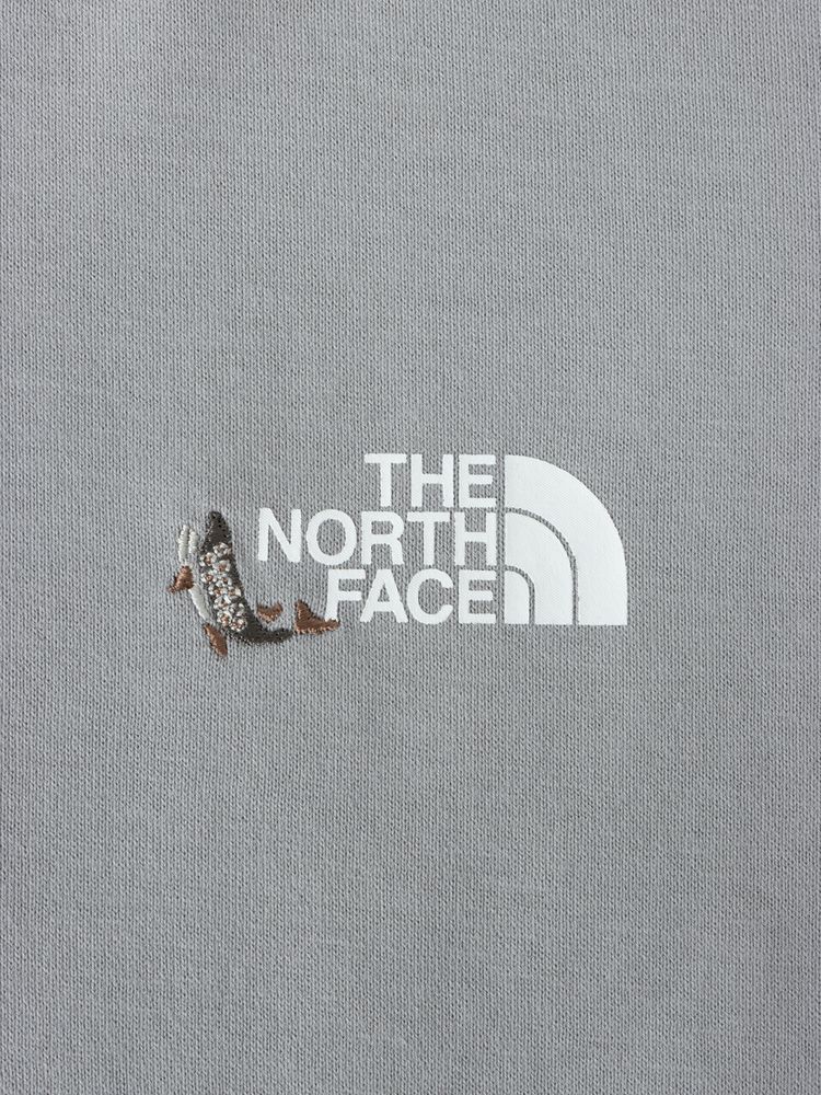 THE NORTH FACE(ザ・ノース・フェイス) ｜ショートスリーブオーガニックティー（キッズ）
