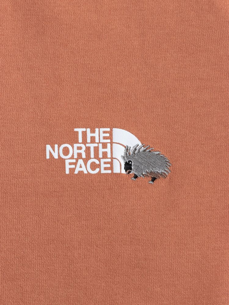 THE NORTH FACE(ザ・ノース・フェイス) ｜ショートスリーブオーガニックティー（キッズ）