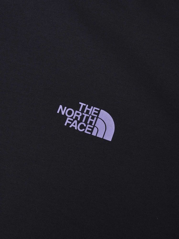 THE NORTH FACE(ザ・ノース・フェイス) ｜ショートスリーブ ES 66グラフィックワイドティー（メンズ）